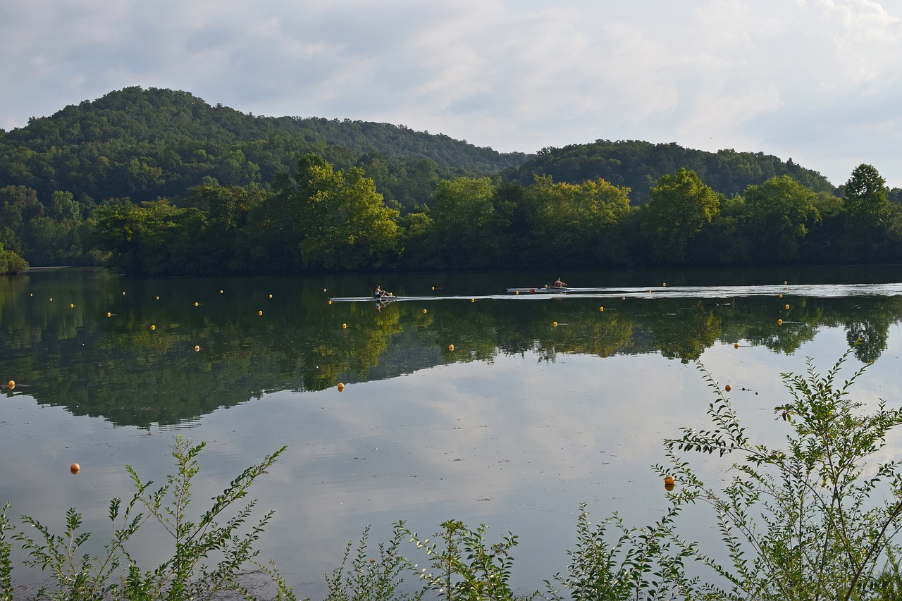 scull rowers scull rowing rowing free photo