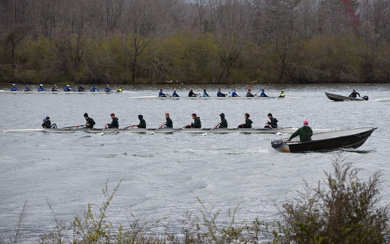 scull rowing clinch river tennessee free photo