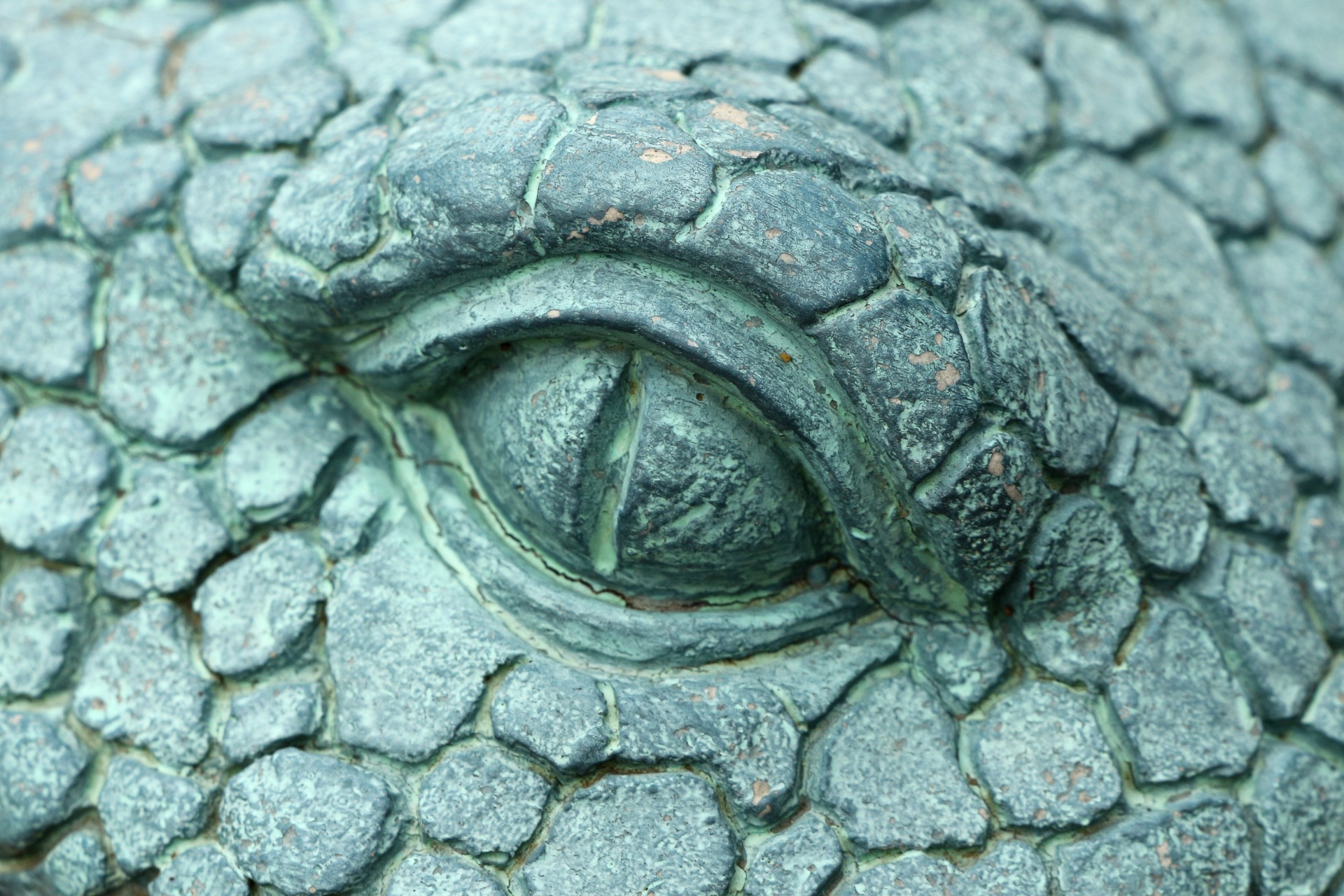 sculpted scales crocodile free photo