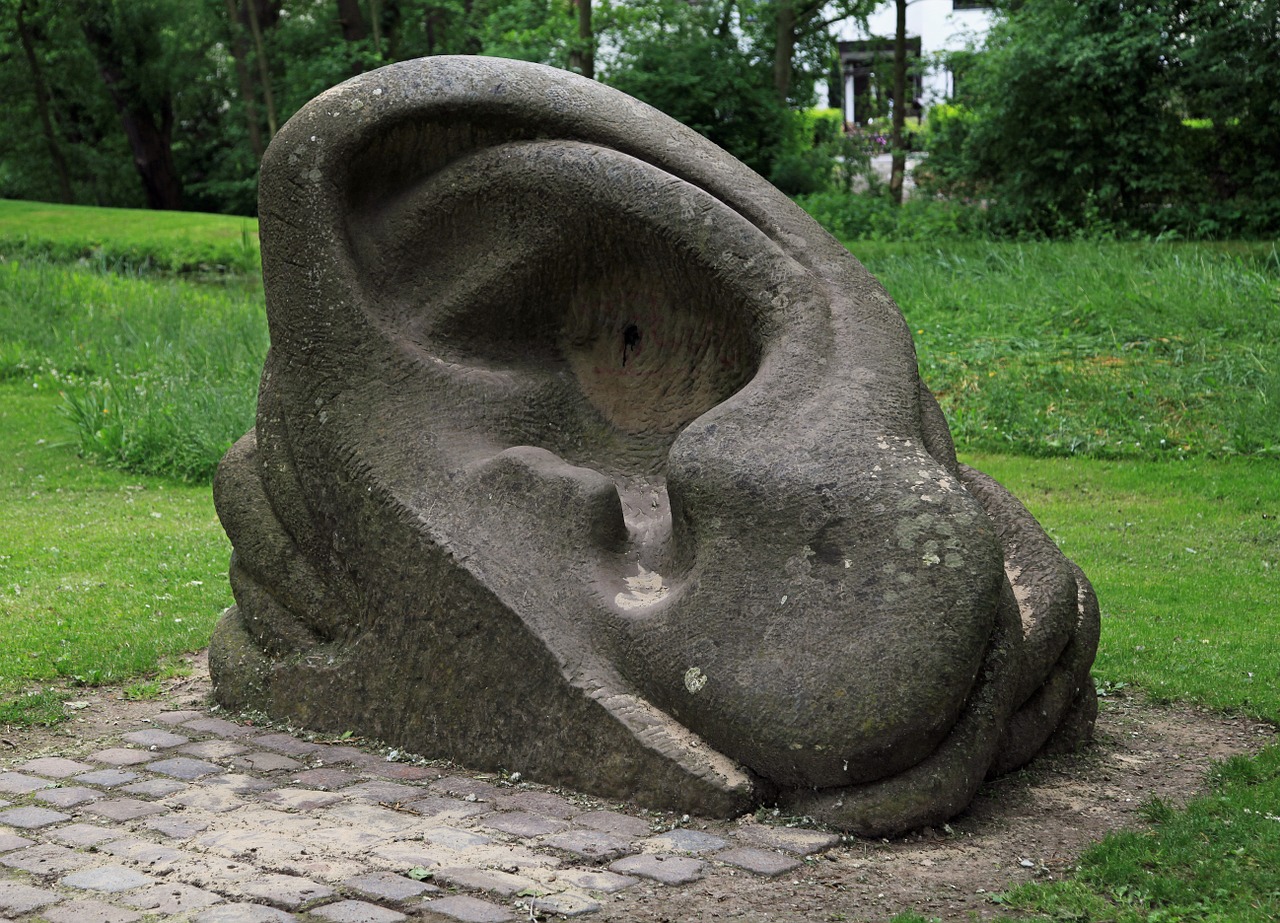 sculpture auricle ear free photo