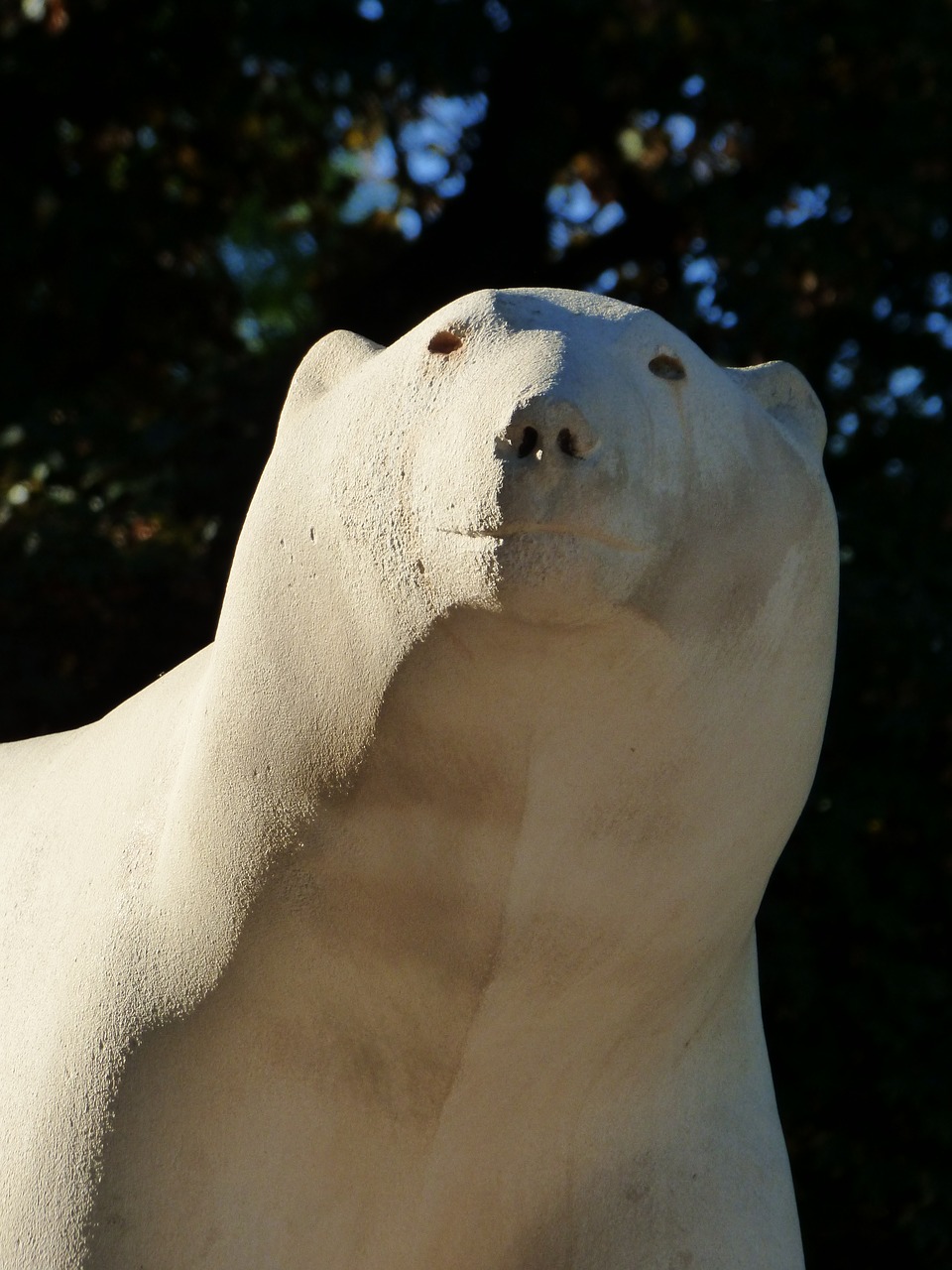sculpture white bear darcy park free photo