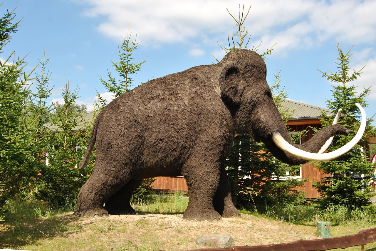 sculpture animal sculpture wool mammoth free photo