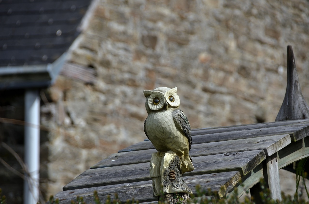 sculpture owl animal free photo