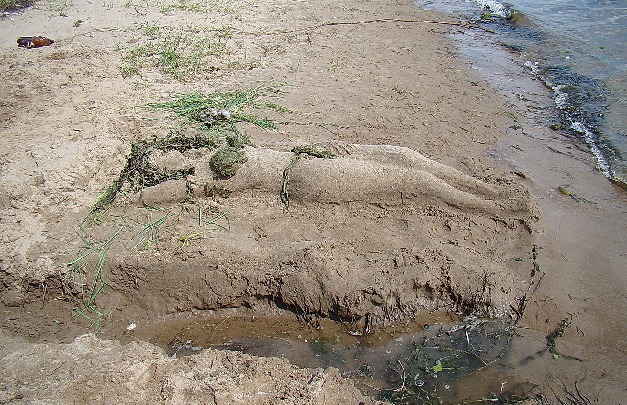 sculpture from sand river bank free photo