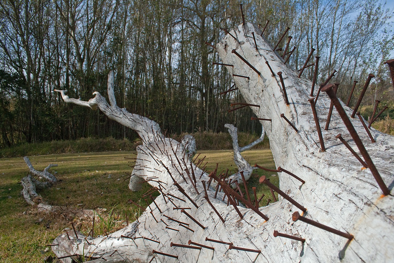 sculpture modern tree trunk free photo