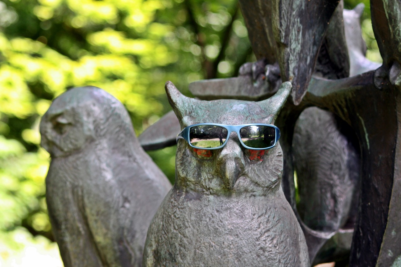 sculpture owls sunglasses free photo