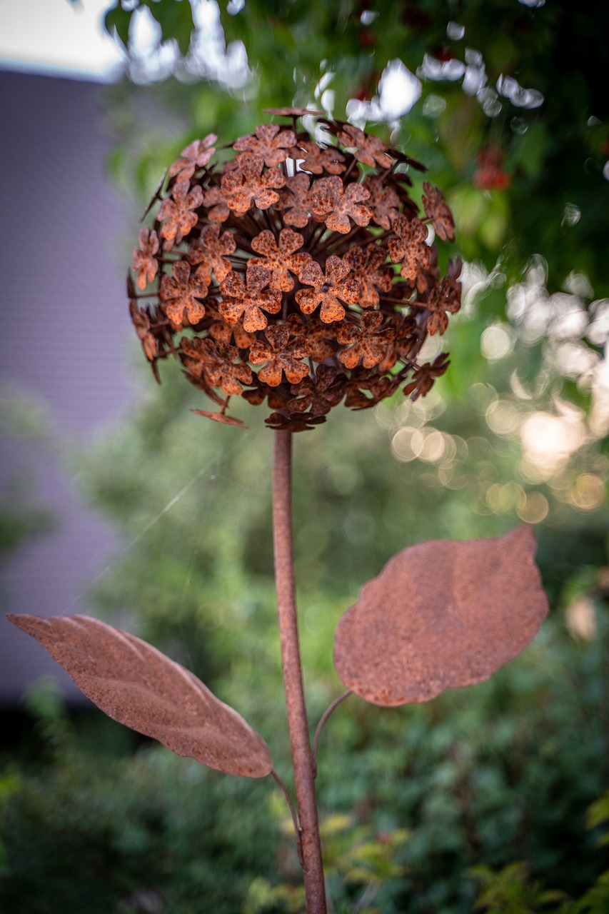 sculpture  rust  artwork free photo