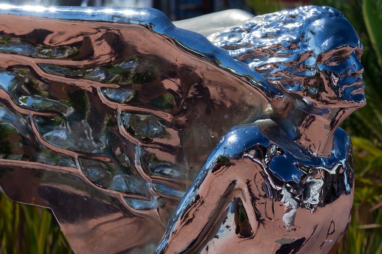 sculpture chromium knysna free photo