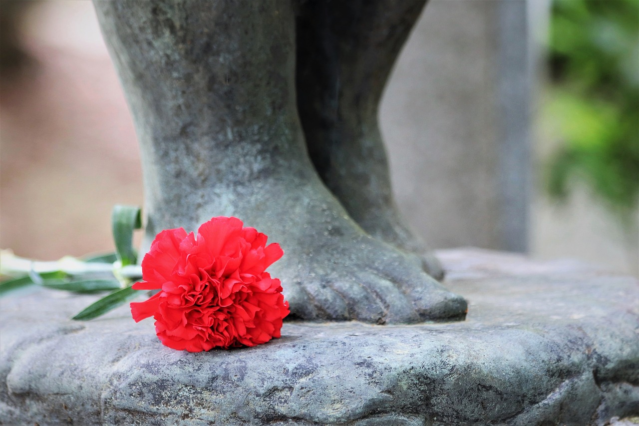 sculpture  feet  red carnation free photo