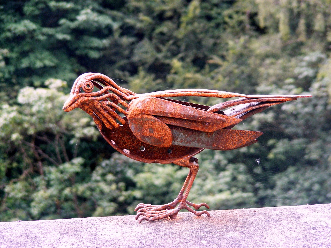 sculpture bird wall free photo