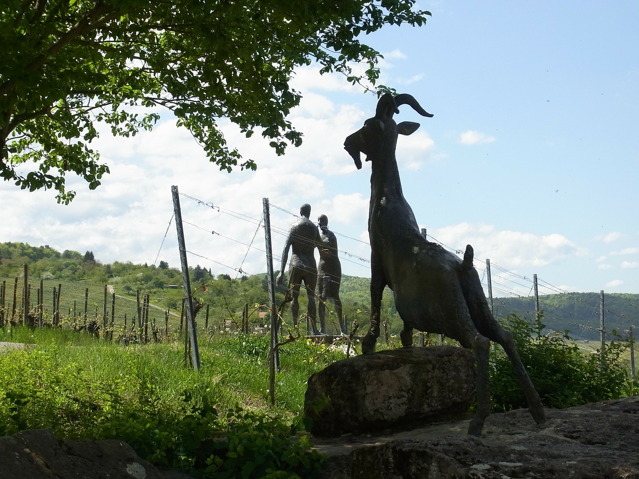 sculpture vineyard wine free photo