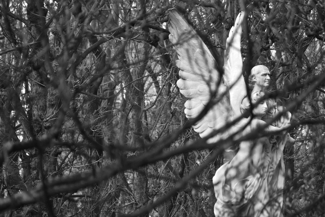 sculpture european angel free photo