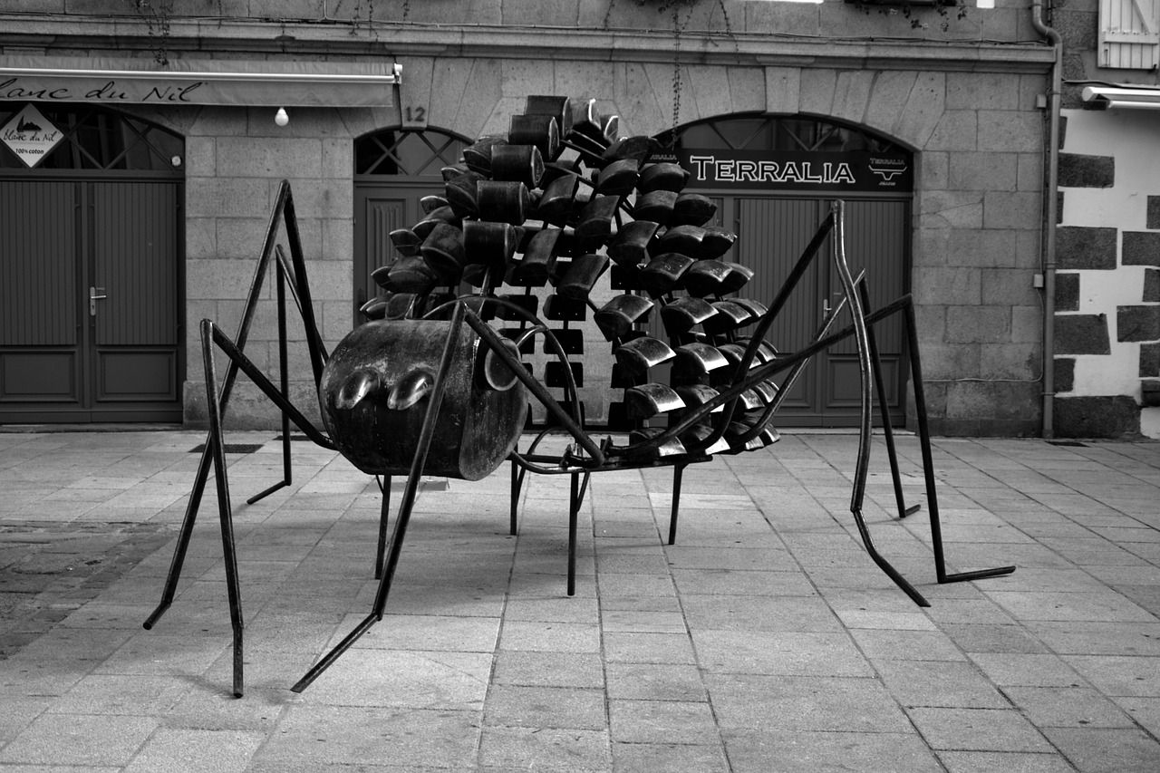 sculpture ant metal free photo