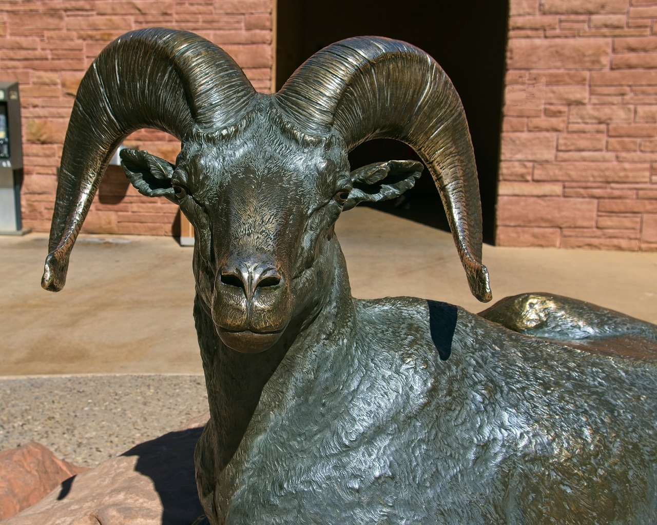 sculpture of desert bighorn ram  bronze  statue free photo