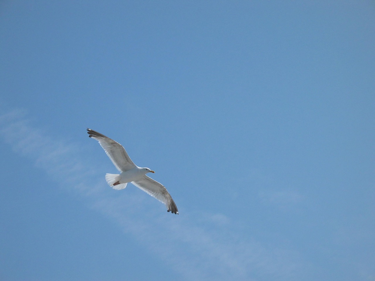 sea costa france free photo