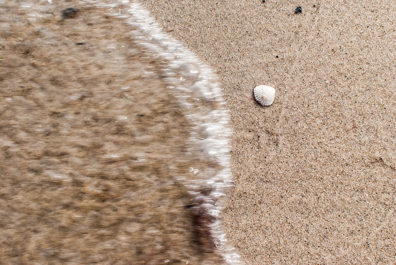 sea beach sand free photo