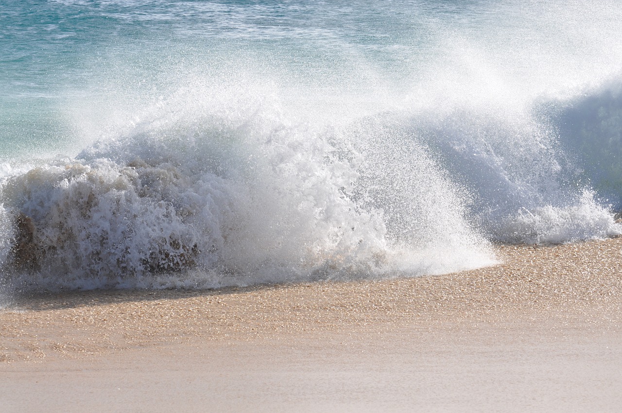 sea water beach free photo