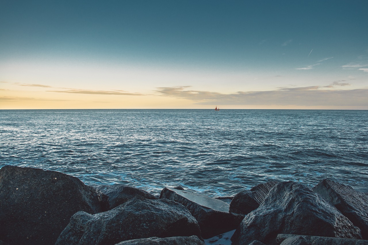 sea shore rock free photo