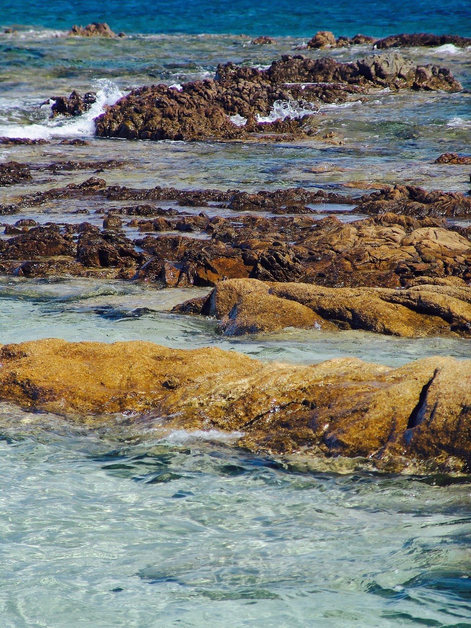 sea rock water free photo