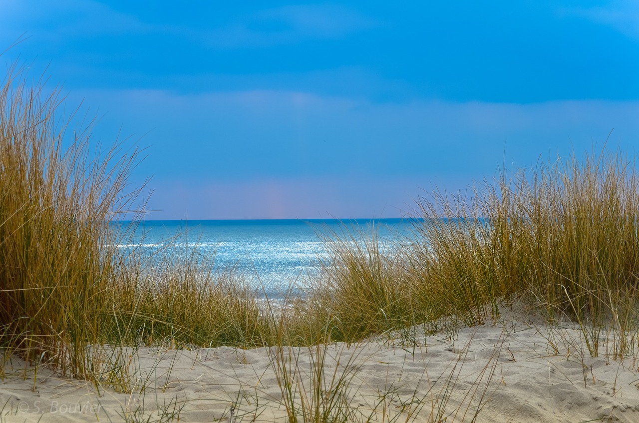 beach sand sky free photo