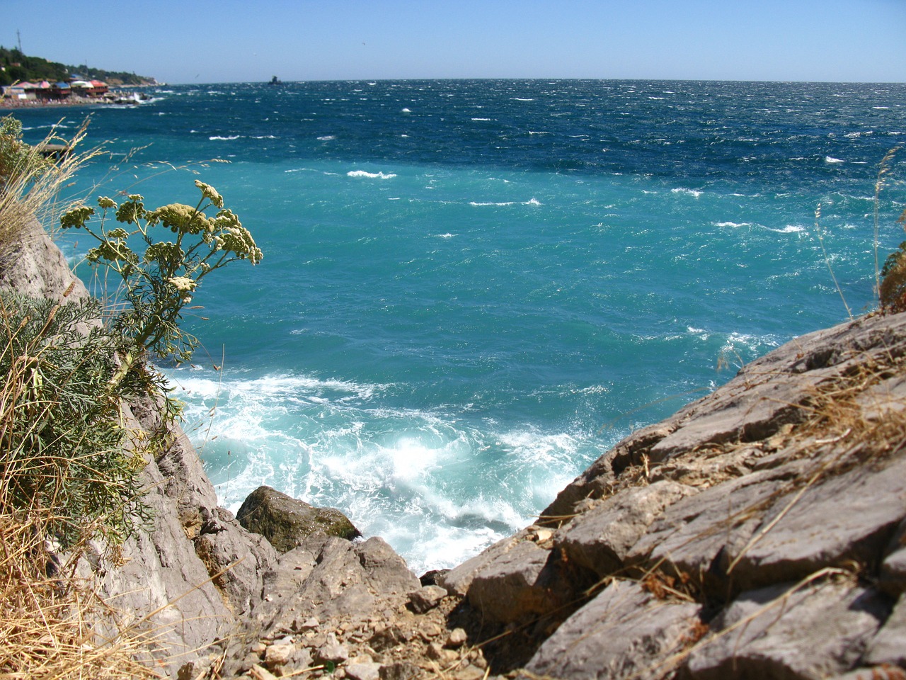 sea wave summer free photo