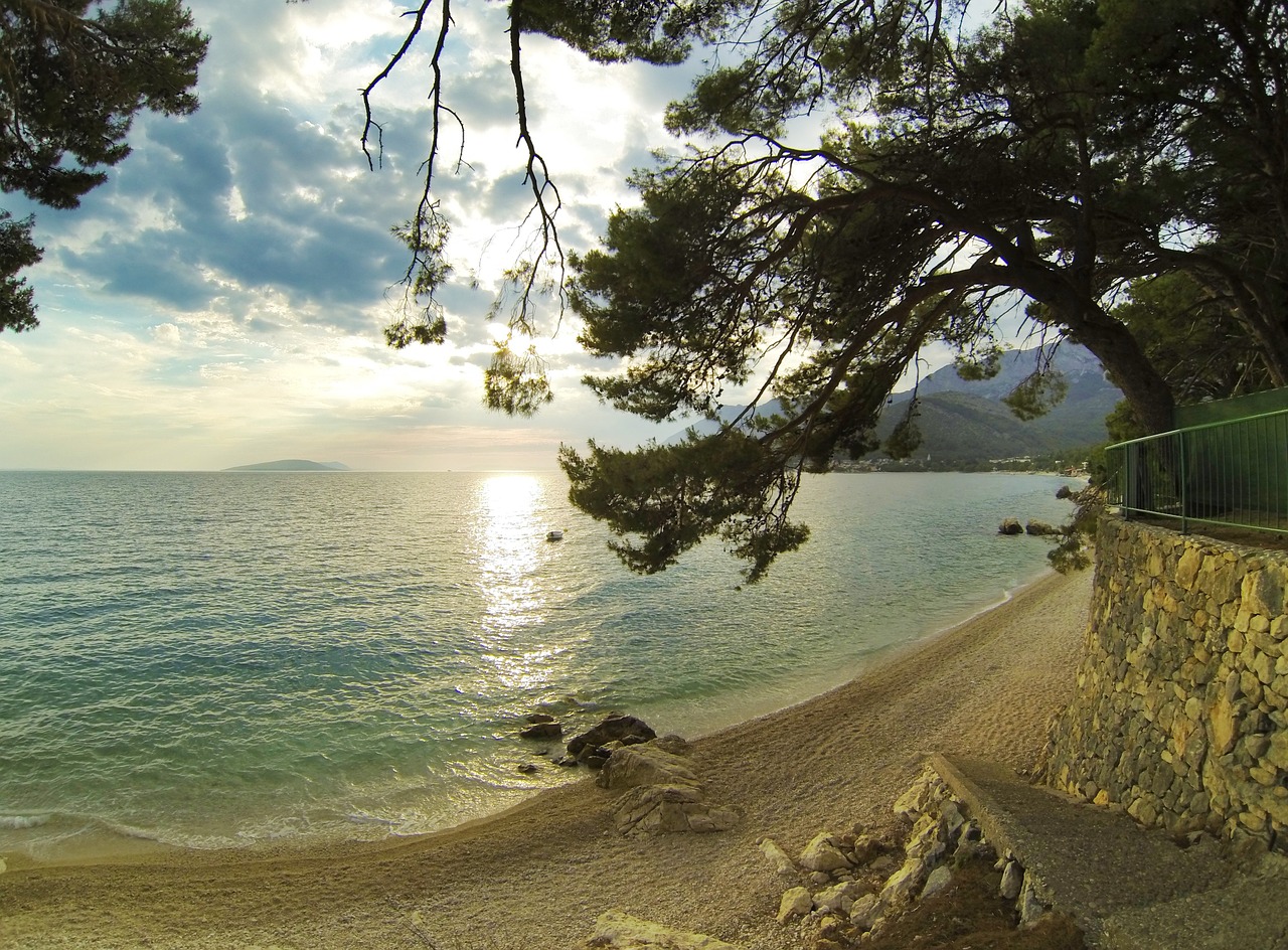 sea tree beach free photo