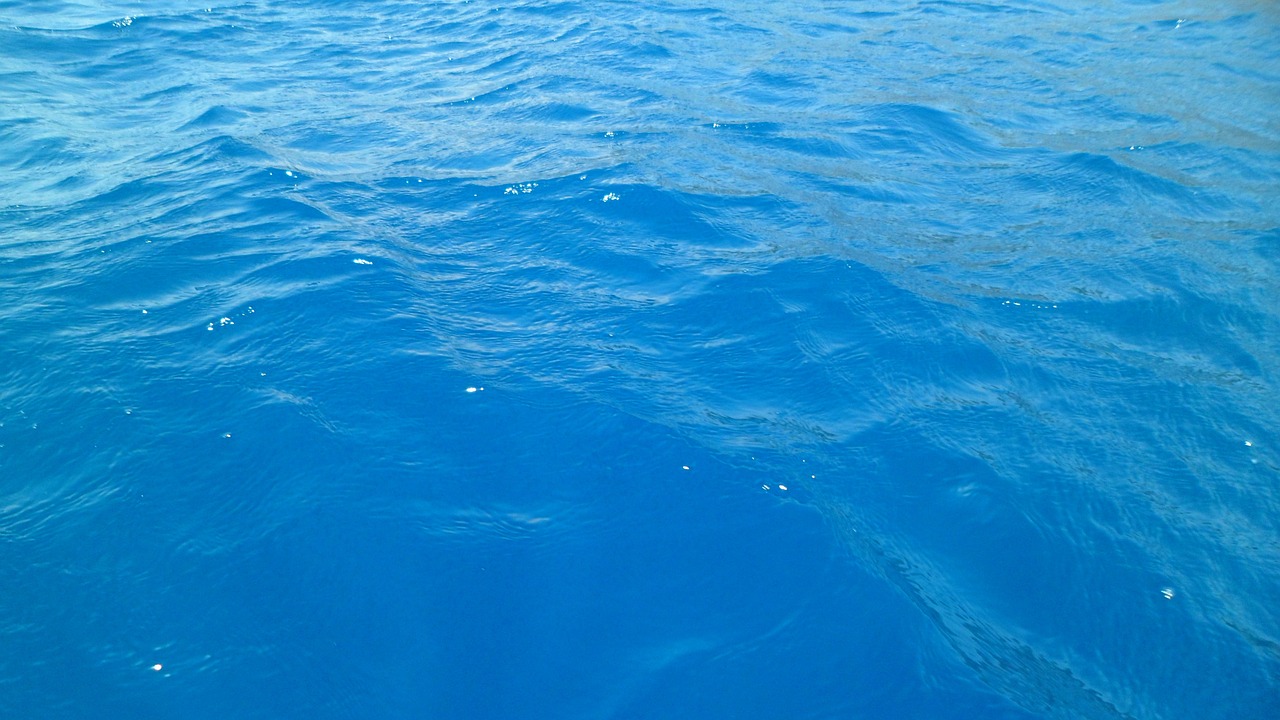 sea water blue free photo