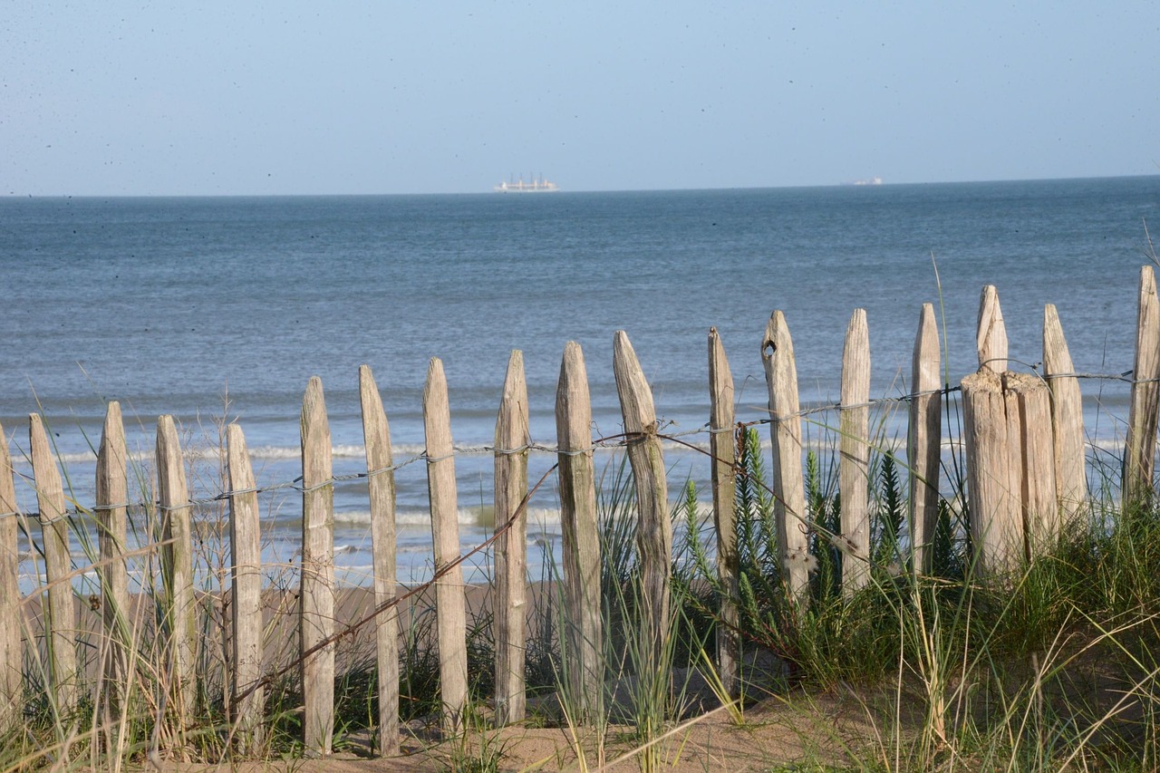 sea closing dune free photo