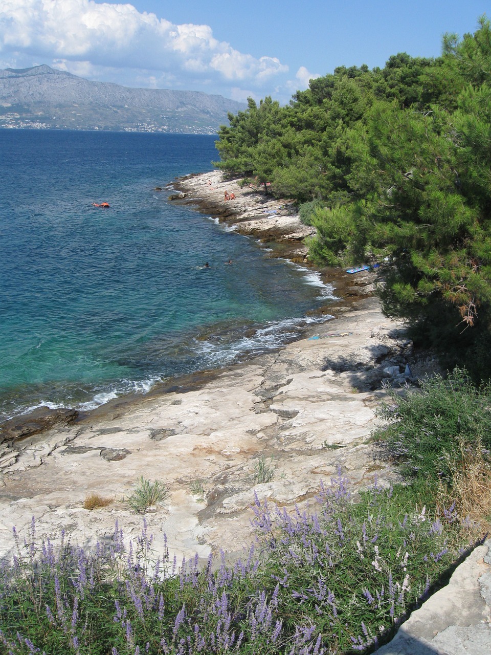 sea croatia coast free photo