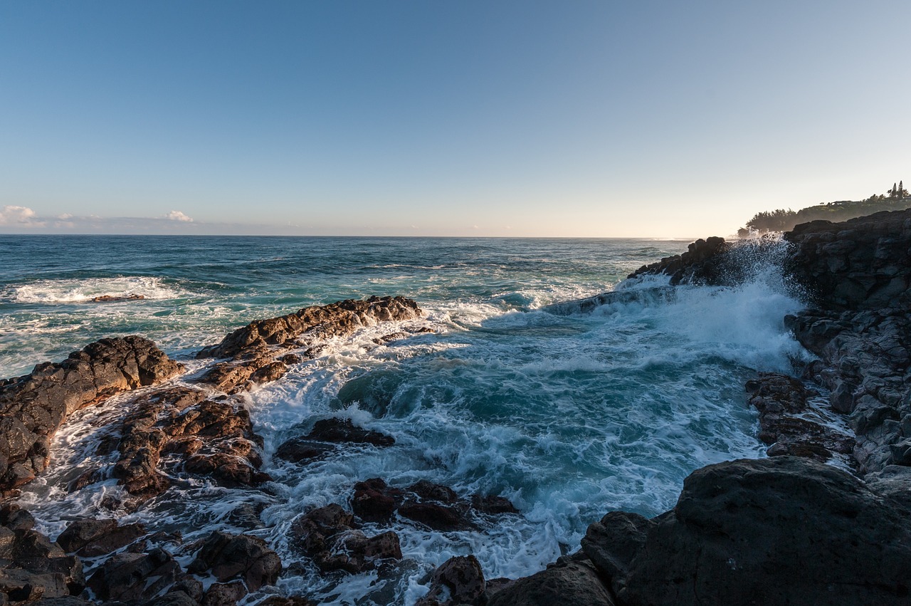 sea rocks ocean free photo