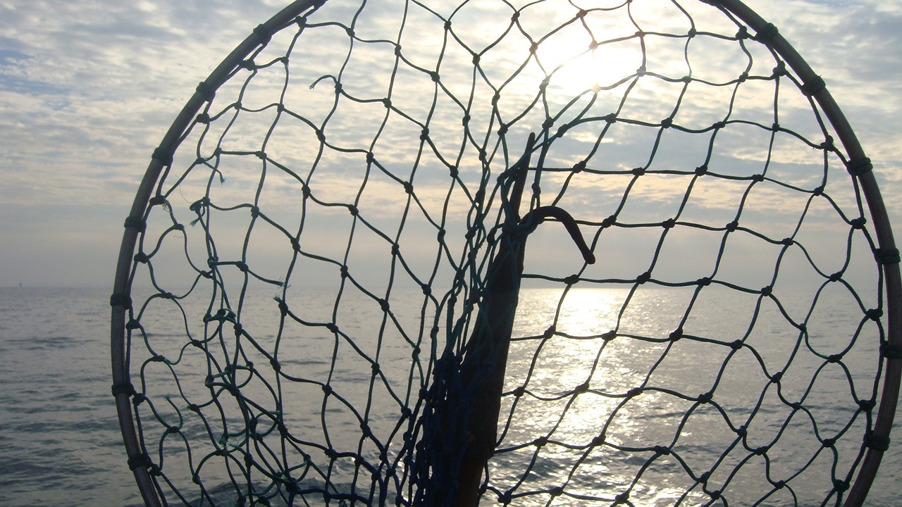 to go fishing sea landing net free photo
