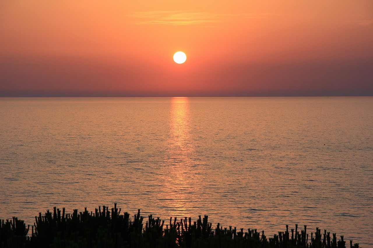 sea horizon sun free photo