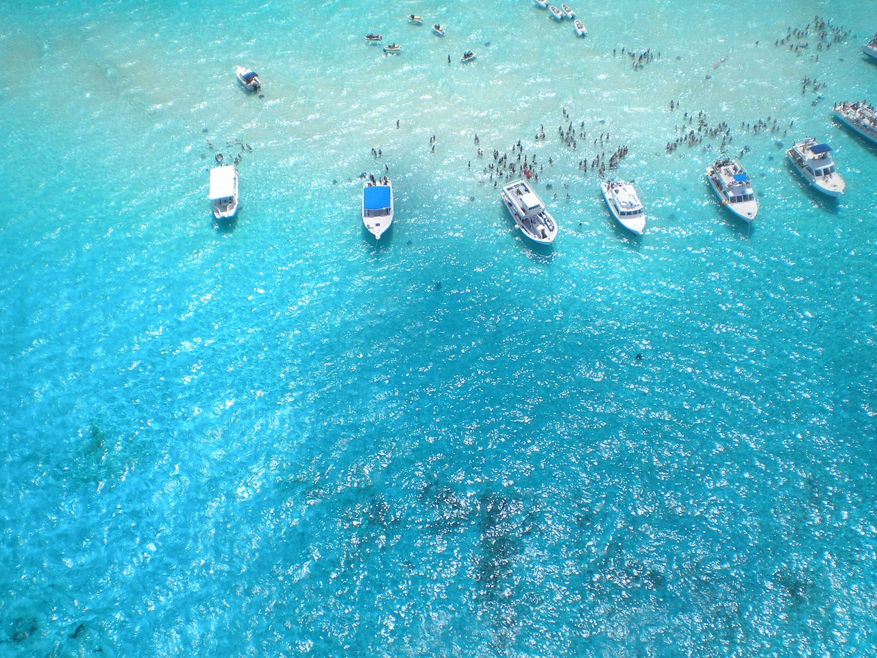 sea bathers caribbean free photo