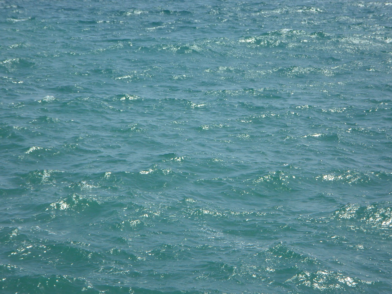 sea water background free photo