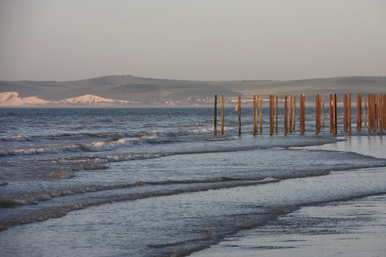 sea beach nature free photo