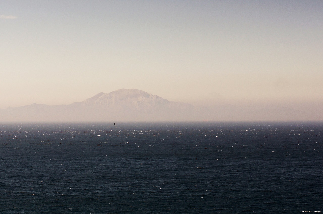 sea seagull mountain free photo