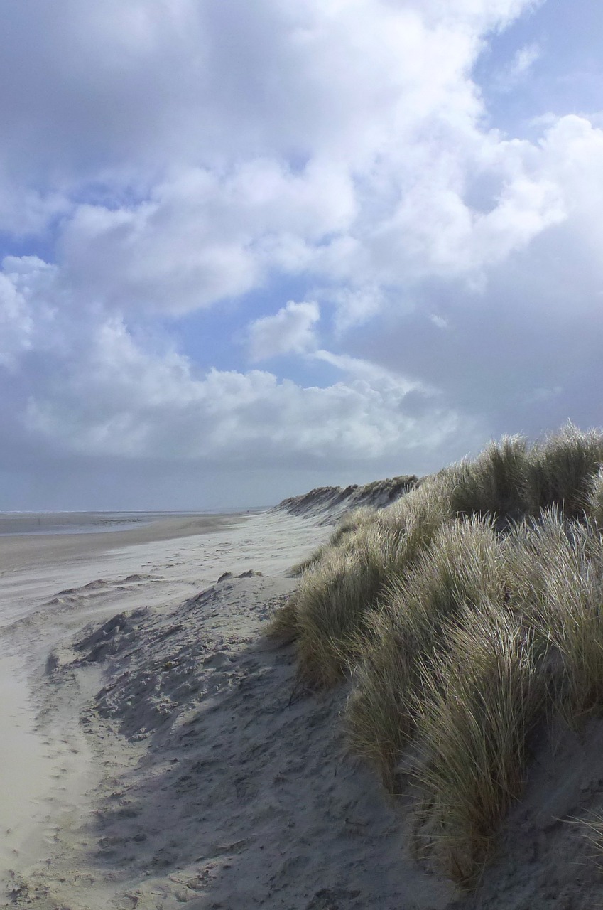 sea beach sky free photo