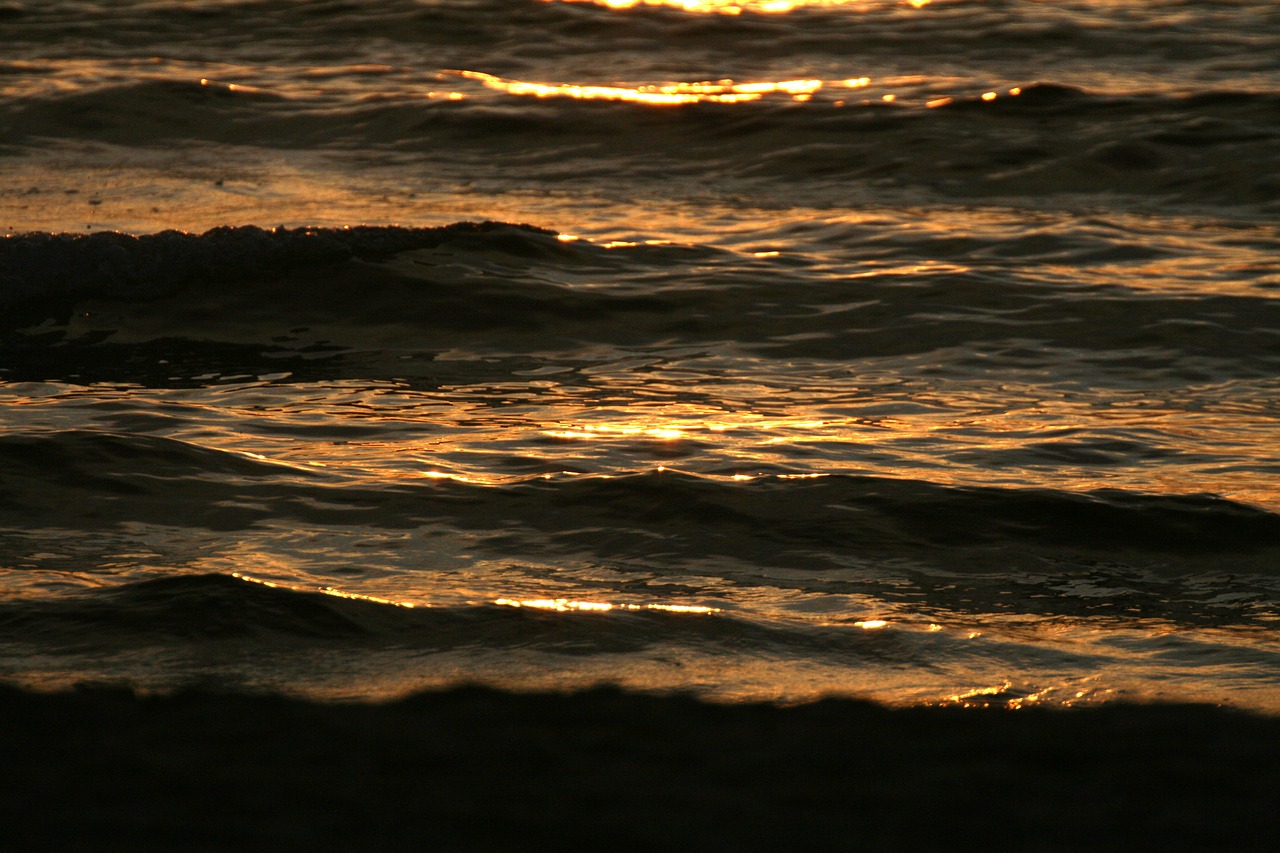 sea wave sun free photo