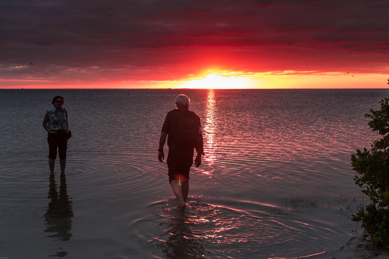 sea sunset evening sky free photo