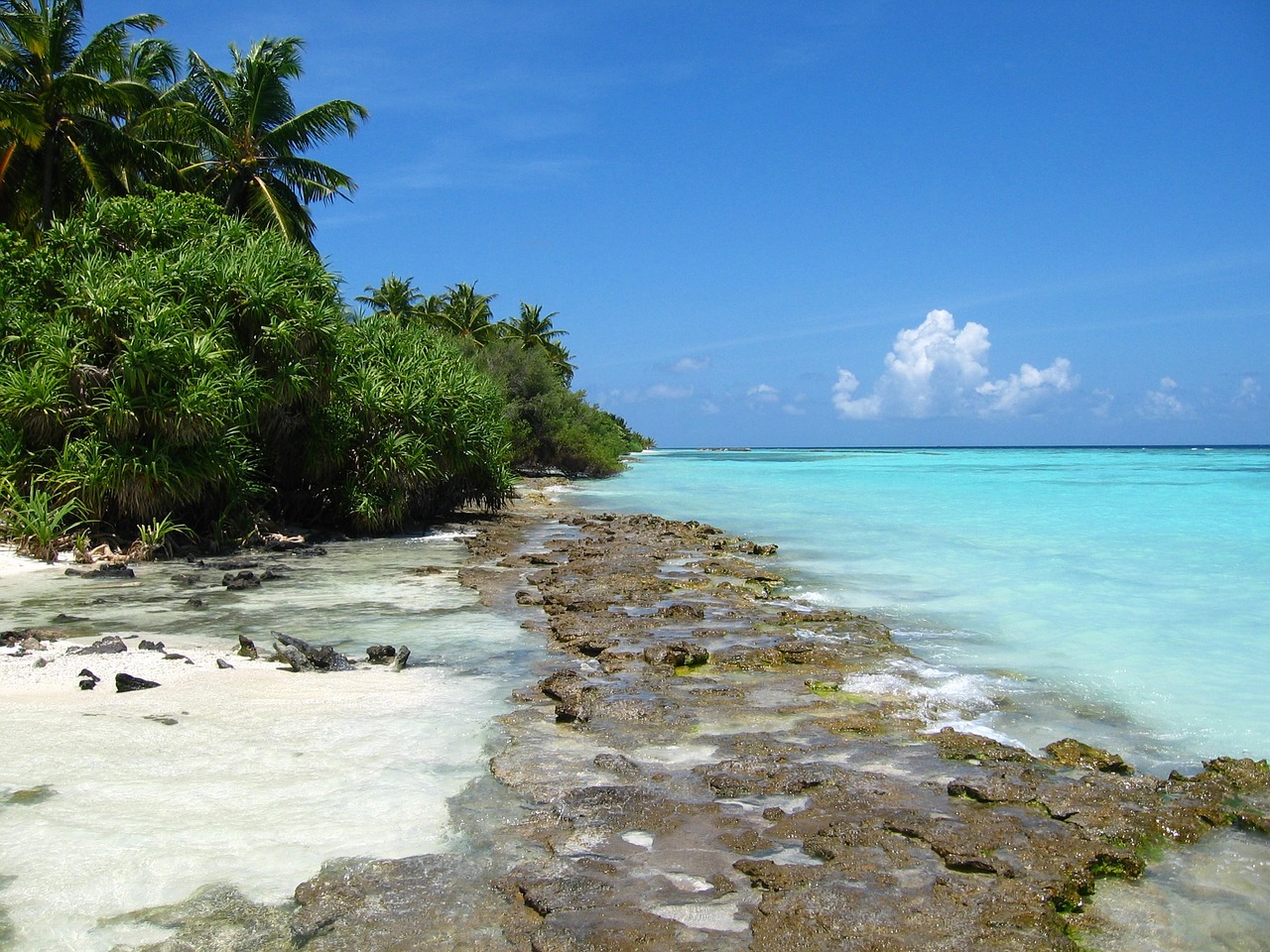 sea holidays maldives free photo