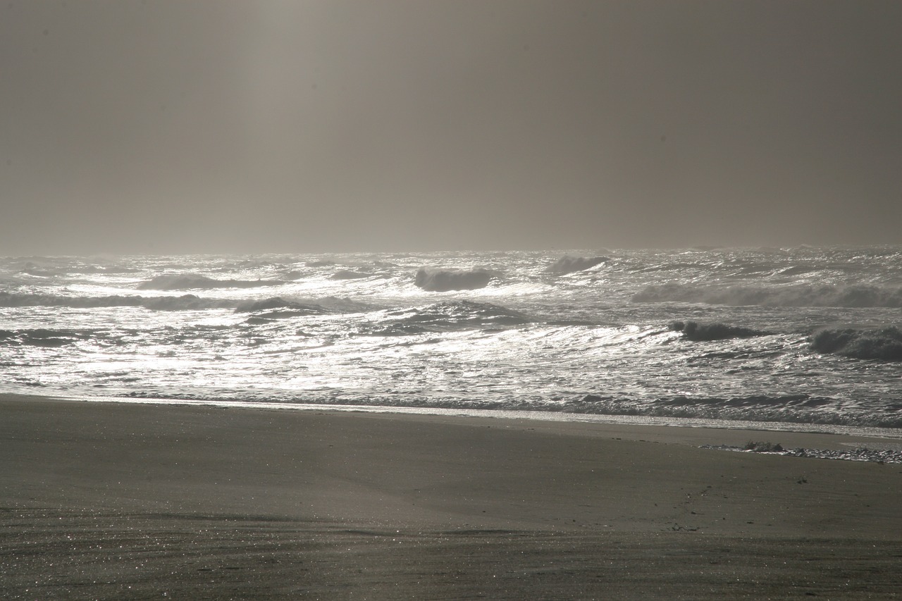 sea waves beach free photo