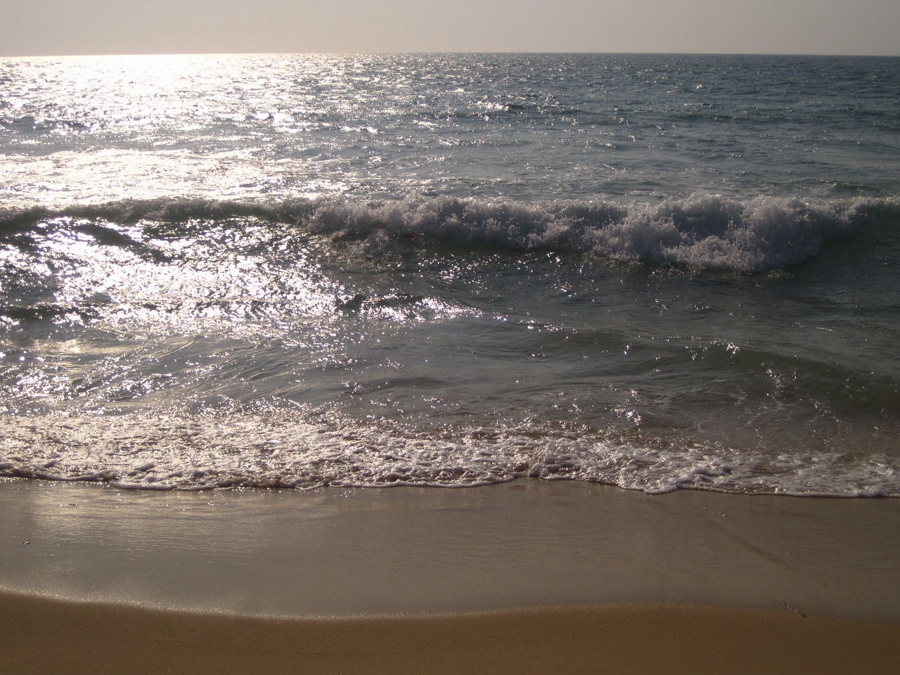 sea beach waves free photo