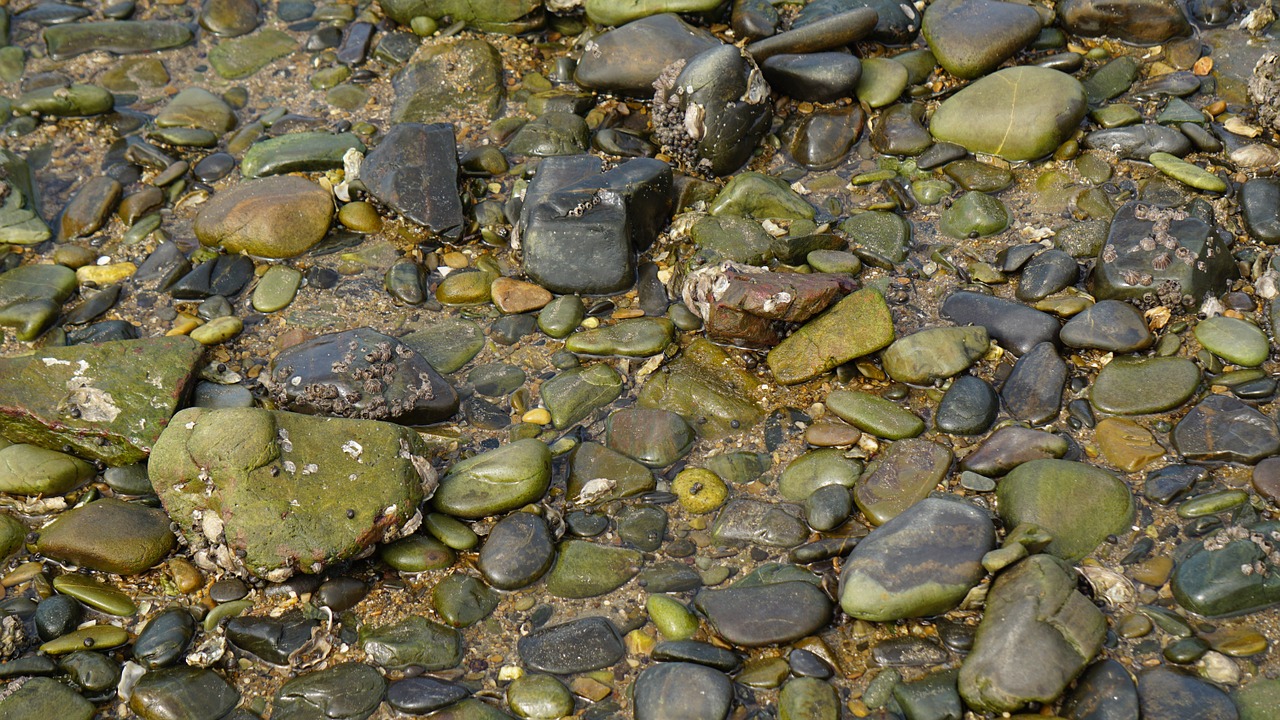 sea gravel boulder free photo