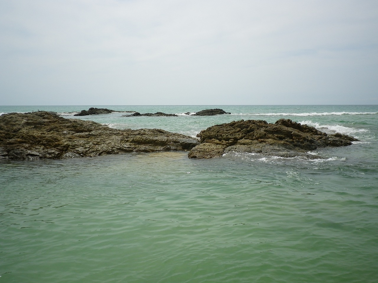 sea ebb reef free photo