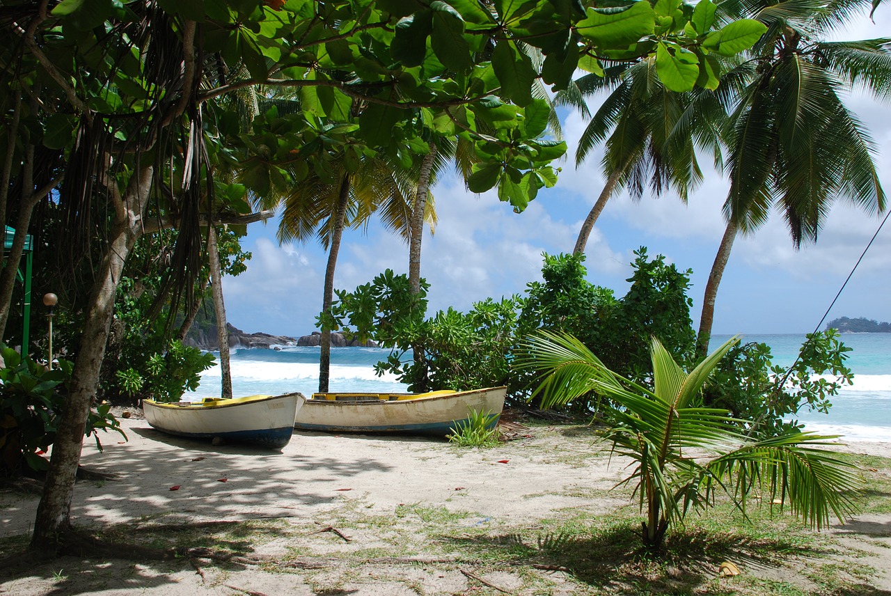 sea beach sand free photo