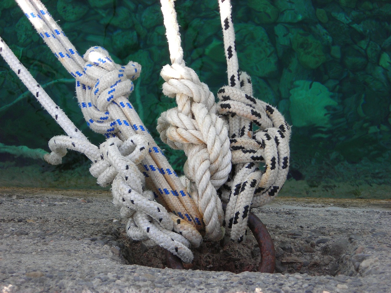 sea rope leash free photo