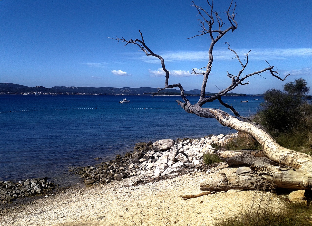 sea holiday beach free photo