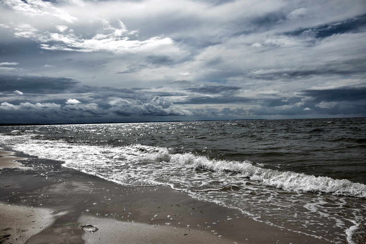 sea beach the baltic sea free photo