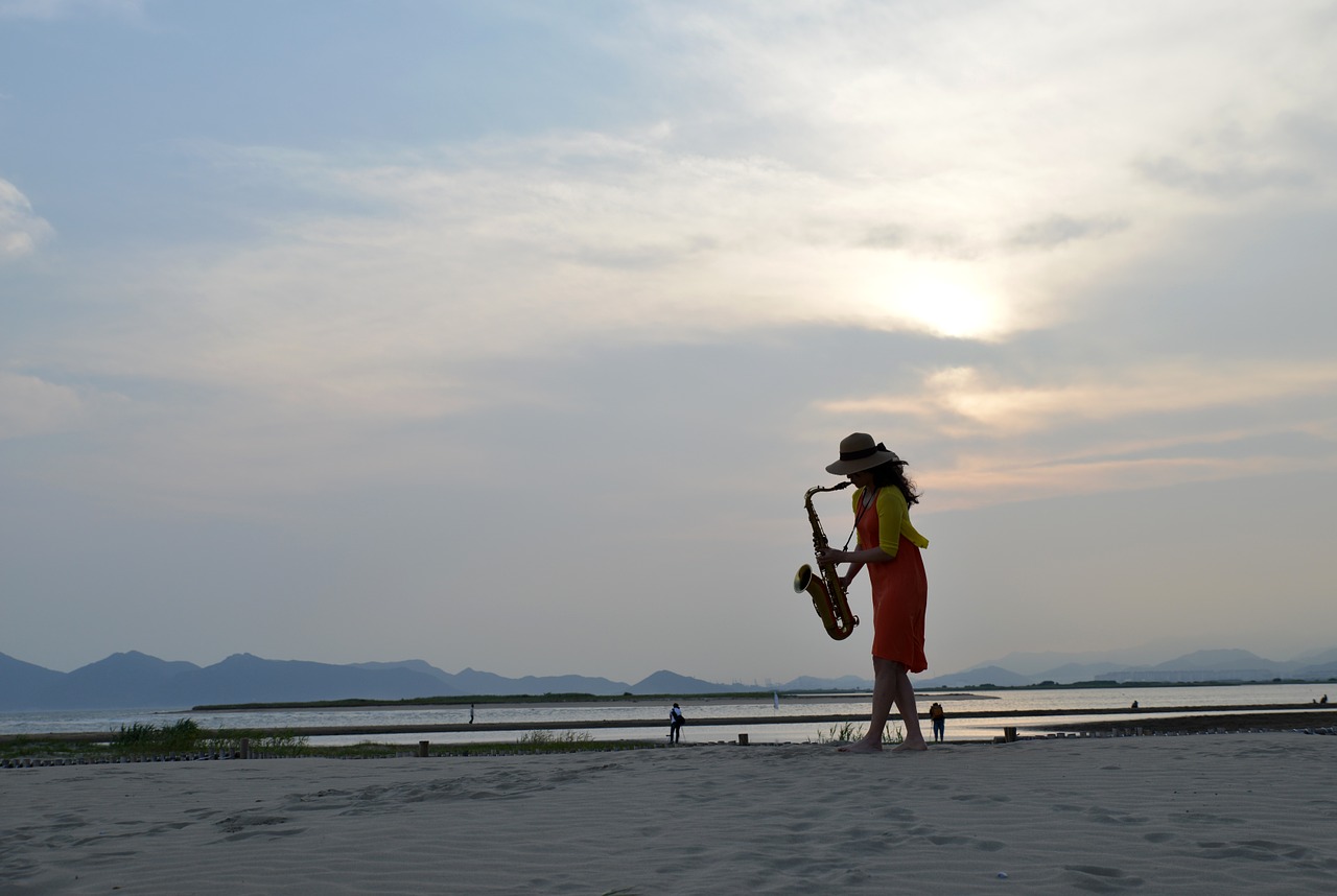 sea beach sunset free photo