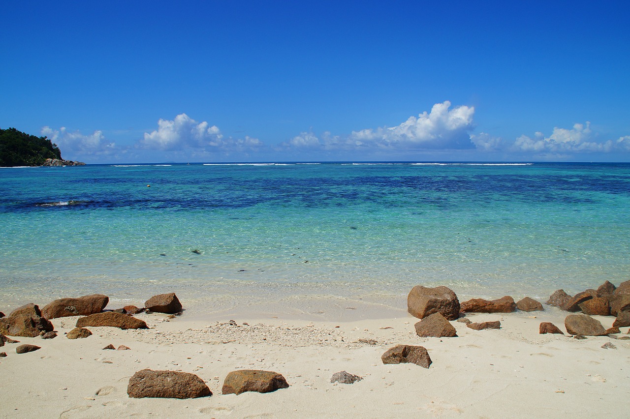 sea beach ocean free photo